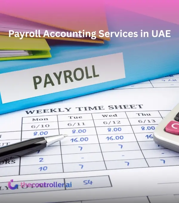 Payroll Accounting Services in UAE