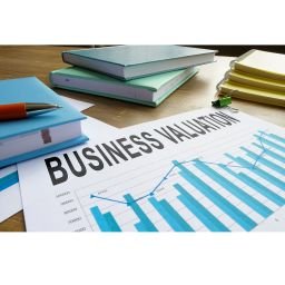 Business valuation menu