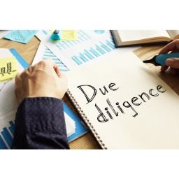 Due Diligence