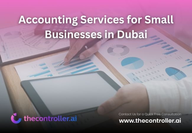 Accounting Services for Small Businesses in Dubai