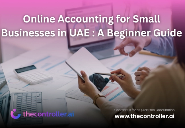 Online Accounting for Small Businesses in the UAE